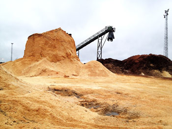 Ever last piece is used. The mountains of saw dust is utilised for energy production